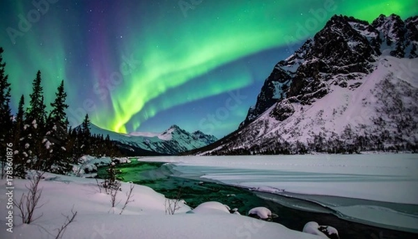 Fototapeta Stunning landscape capturing dancing lights, a frozen lake, snowy mountains, and evergreen trees in the night sky