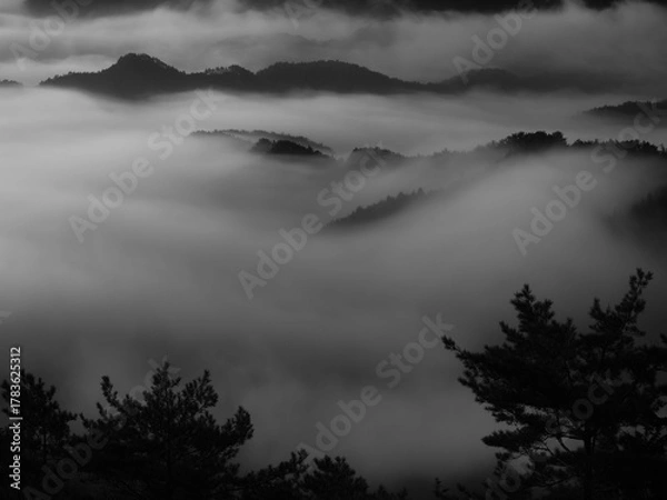 Obraz モノクロの雲海