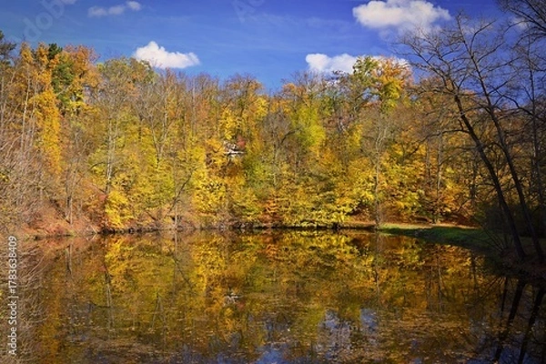 Fototapeta Autumn time. Beautiful landscape with colorful trees. Outdoor natural background for fall time.