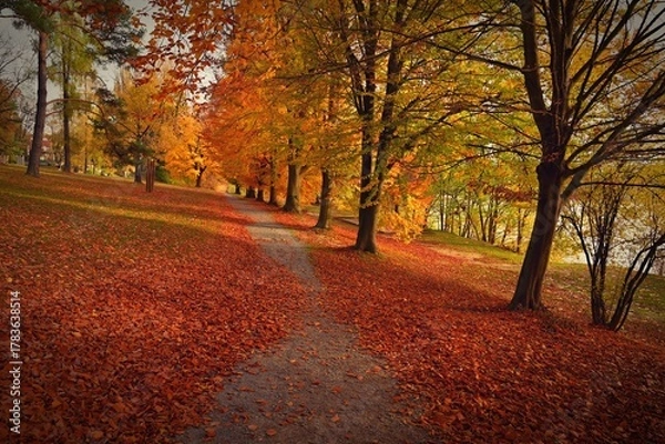 Fototapeta Beautiful colourful autumn landscape in the Czech Republic. Colorful trees in nature in autumn season. Seasonal concept for outdoor activities.