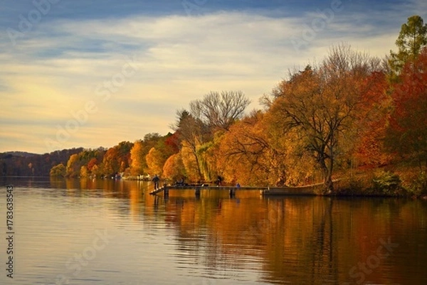 Fototapeta Autumn background with colorful trees. Nature with landscape. Seasonal concept for fall.