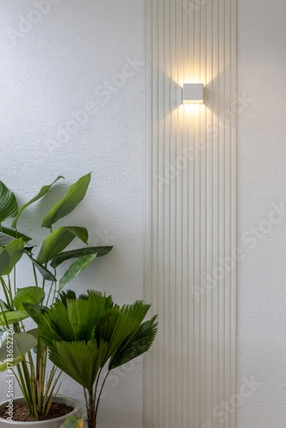 Obraz wall with panel, plants and light, balcony
