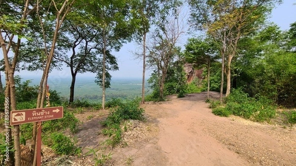 Obraz 山頂からの景色