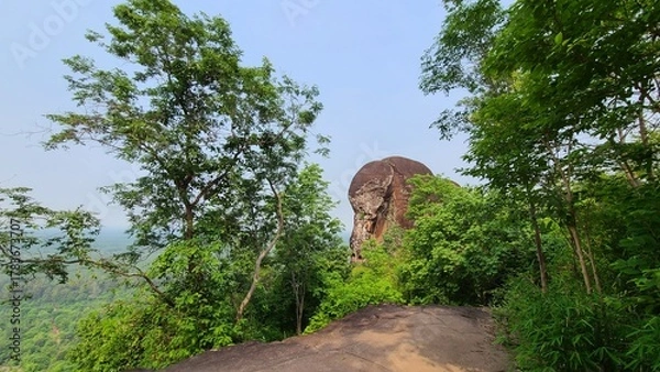 Obraz 山の頂上からの景色