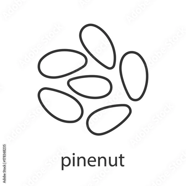 Fototapeta Pinenuts linear icon