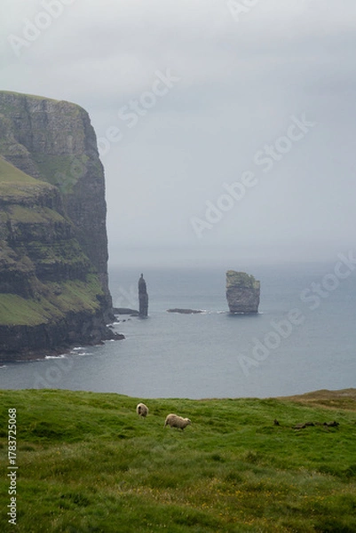Fototapeta The iconic Risin og Kellingin sea stacks off Eysturoy island, Faroe Islands — a famous hiking and sightseeing spot on the Atlantic coast.