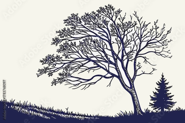 Fototapeta Windswept Bare Tree and Pine Silhouette Vector - Engraving Style