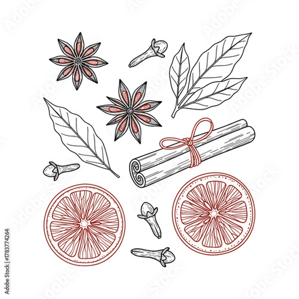 Obraz Hand-drawn winter herbs and citrus for mulled wine
