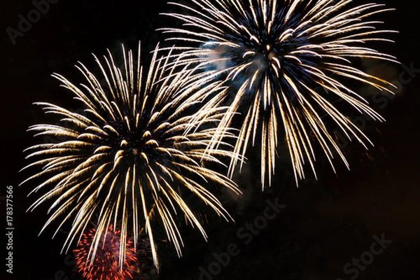 Obraz Fireworks display on dark sky background.