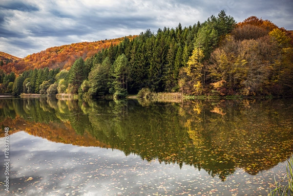Fototapeta Autumn reflection