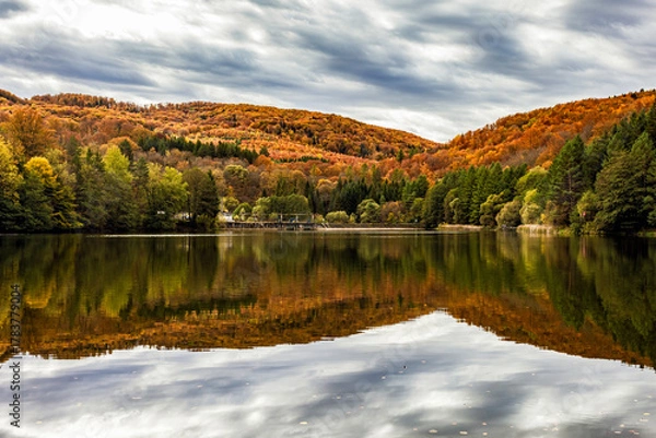 Fototapeta Autumn reflection