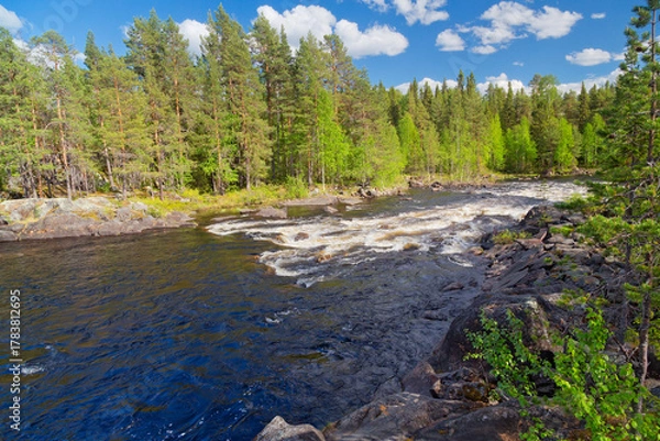 Obraz Beautiful wild river near Storuman in Lapland, northern Sweden
