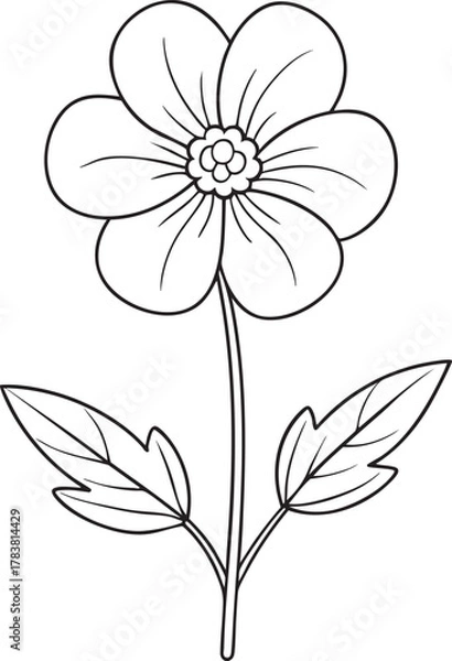 Fototapeta Simple buttercup flower outline drawing for coloring page and springtime design