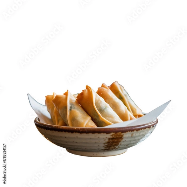 Obraz Fried Chinese Traditional Spring rolls food in ceramic bowl on transparent. (3).png