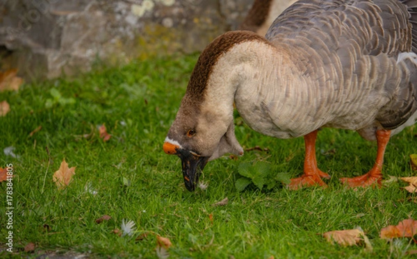 Obraz HM das ist lecker