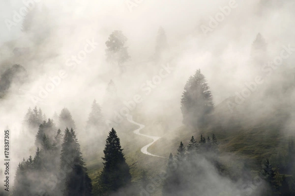 Obraz nebliger Morgen