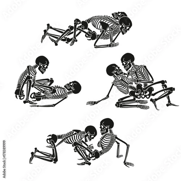 Obraz Human skeleton kamasutra set. Vector illustration.
