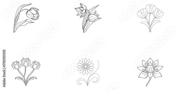 Obraz Six Outline Flower Illustrations Including Tulips On White Background
