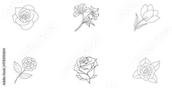 Obraz Six Outline Rose Illustrations On White Background