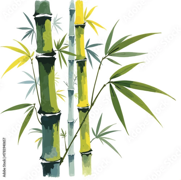 Fototapeta Watercolor bamboo stems with green leaves on a white background illustration