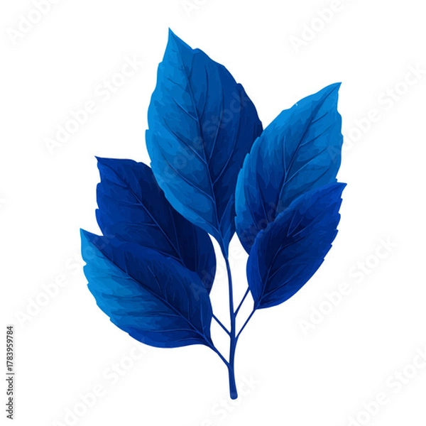 Obraz Flat 2D Blueberry Leaf vector illustration, icon graphic on white background