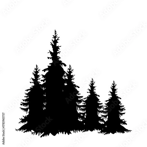 Obraz christmas trees silhouette, pine trees forest landscape illustration.
