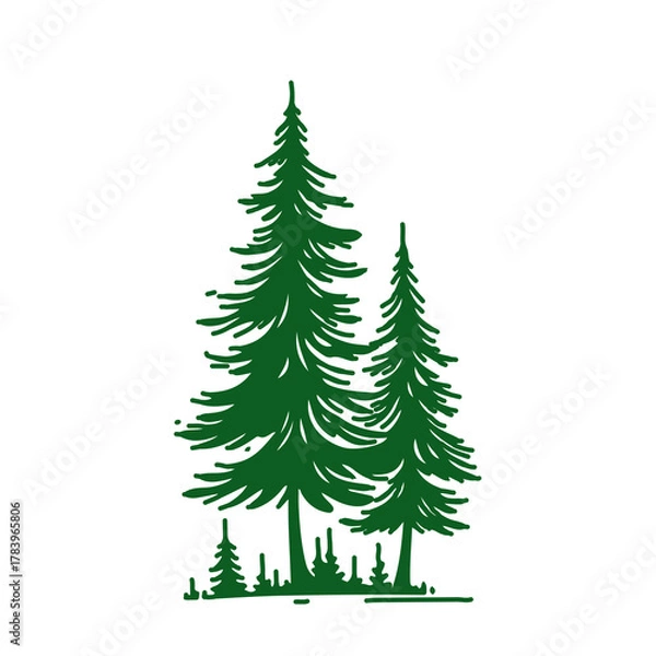 Obraz Christmas trees isolated on transparent background , forest landscape.
