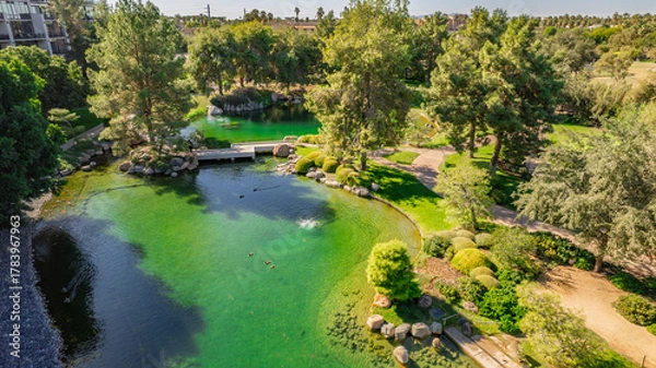 Obraz Aerial shot of a Japanese-style garden pond with a small bridge and ducks. The water is vibrant green reflecting the surrounding trees and foliage. A tranquil oasis in a suburban setting. Ideal for