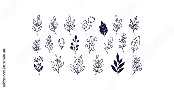 Obraz Hand drawn botanical doodle set with leaves petals and delicate branches