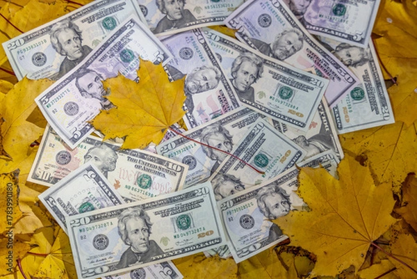 Fototapeta US dollar banknotes scattered on autumn leaves featuring fall colors, texture and currency details representing finance, economy, seasonal concept, banking, investment and American monetary system inf