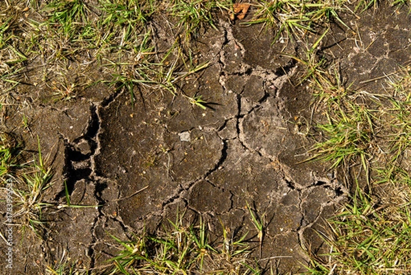 Fototapeta Photo of cracked soil from drought.Dry land without rains.