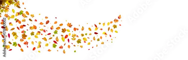 Fototapeta Goldener Herbst auf weissem Hintergrund