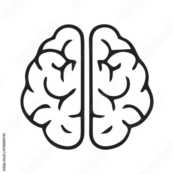 Fototapeta human head with brain