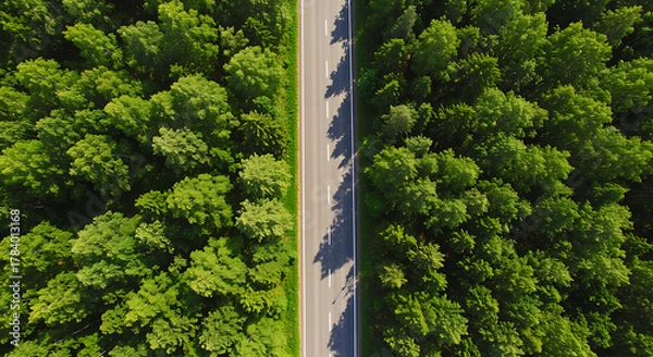 Fototapeta Aerial view of asphalt road through dense green forest