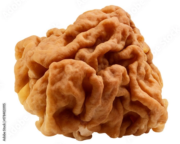 Fototapeta Gyromitra, Morel mushroom, isolated on white background, full depth of field