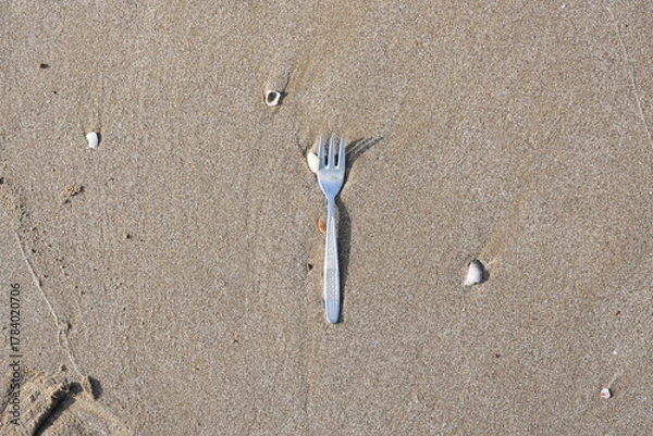 Obraz A fork forgotten in the sand
