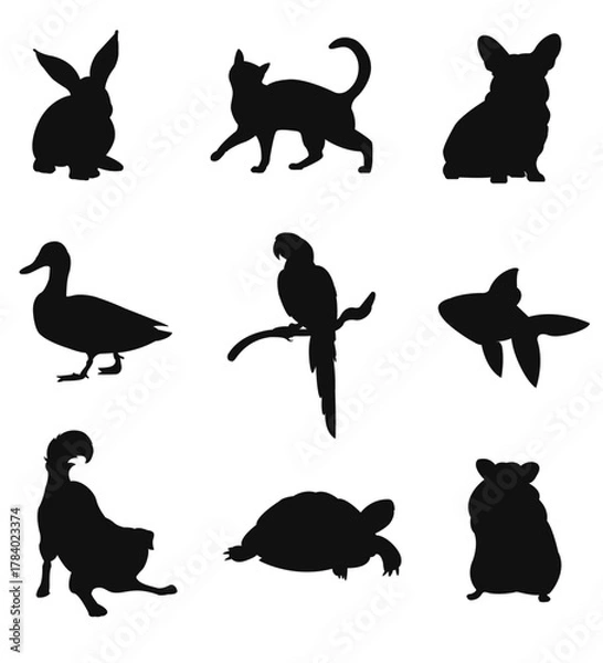 Obraz  Minimal Pet Vector Set Cat, Rabbit, Parrot, Duck Silhouettes