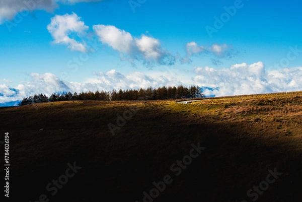 Obraz 初秋の霧ヶ峰高原