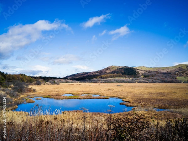 Obraz 初秋の霧ヶ峰