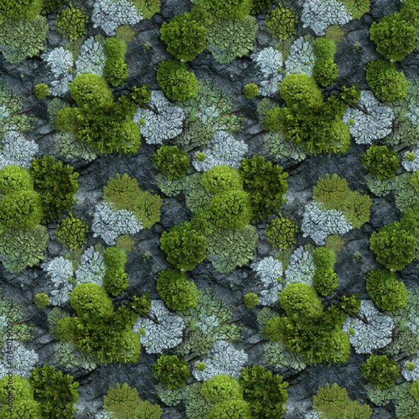 Obraz Moss and Lichen Seamless Pattern