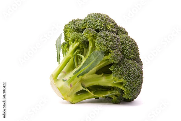 Obraz Fresh broccoli isolated over the white background