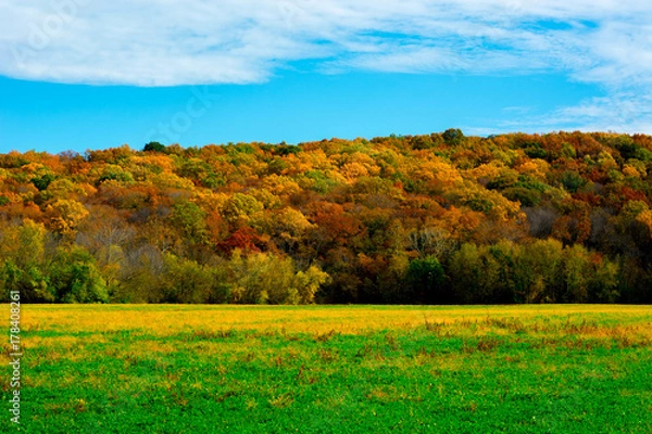 Obraz Colourful Hill