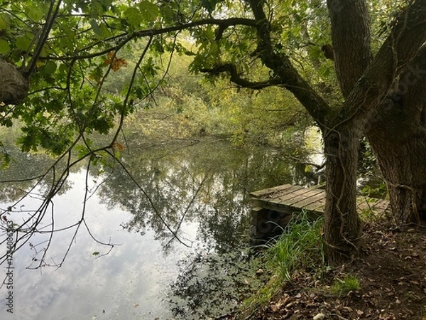 Obraz Beautiful landscape view of large broad lake in Norfolk East Anglia uk with image of sky clouds trees bushes reflected in tranquil water and wood jetty platform on nature reserve in Winter day light
