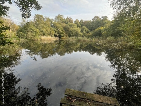 Obraz Beautiful landscape view of large broad lake in Norfolk East Anglia uk with image of sky clouds trees bushes reflected in tranquil water and wood jetty platform on nature reserve in Winter day light