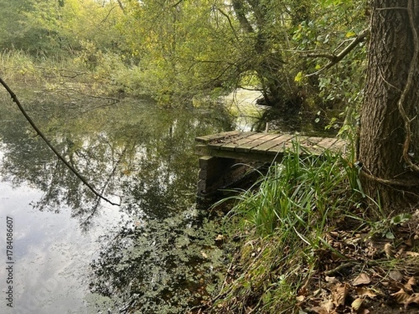 Obraz Beautiful landscape view of large broad lake in Norfolk East Anglia uk with image of sky clouds trees bushes reflected in tranquil water and wood jetty platform on nature reserve in Winter day light