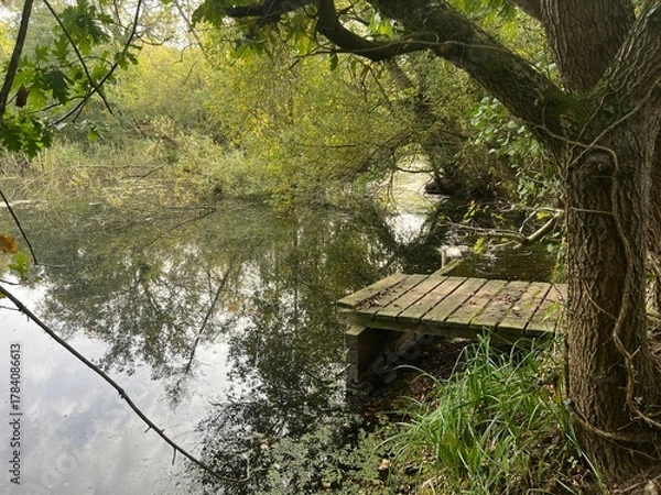 Obraz Beautiful landscape view of large broad lake in Norfolk East Anglia uk with image of sky clouds trees bushes reflected in tranquil water and wood jetty platform on nature reserve in Winter day light