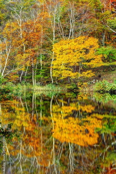 Fototapeta 錦秋の秋山郷天池