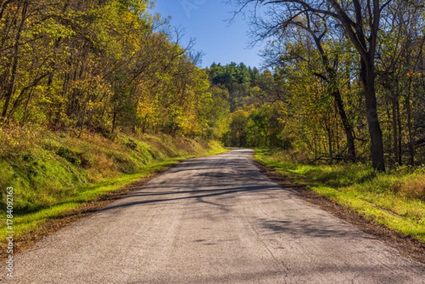 Obraz A Rural Road In The Woods During Autumn
