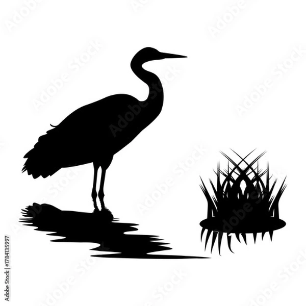 Obraz Silhouette of Heron Standing by Water with Grass. Wildlife Bird Illustration