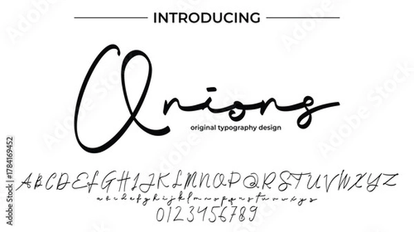 Fototapeta Onions - Elegant Script Font for Smooth Handwritten Design and Creative Typography